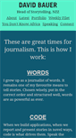 Mobile Screenshot of davidbauer.ch